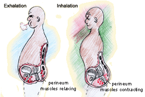 Breathing with holding anal muscles